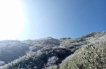 1 day Fansipan Trekking 