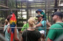 Best of Roatan Shore Excursion