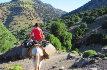 RED VALLEY( Azzaden ) 2 DAY TREK in Atlas Mountains