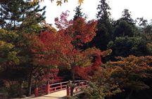 Miyajima full day tour