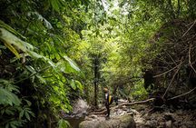 An Unforgettable Canyoning Adventure in Tamata Bali Waterfall