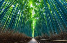 Kyoto Arashiyama Bamboo forest & Garden Half-Day Walking Tour