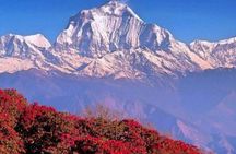 Annapurna Poon hill Sunrise Trek