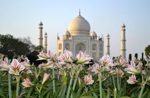 Day trip to Taj Mahal and Agra from Kochi with Return Flights