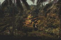 Ubud Guided Tour & Iconic Tanah Lot Temple