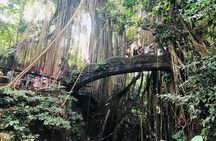 Ubud Guided Tour & Iconic Tanah Lot Temple