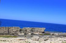 Small-Group Tour with Lunch and Tickets to Tripoli and Batroon