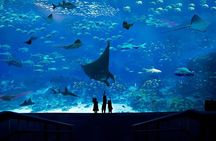 Singapore Universal Studio & S.E.A Aquarium-COMBO One-Day Pass(Shared transfer)