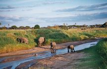 5 Days Tanzania Safari- Tarangire Np, Serengeti Np and Ngorongoro Crater