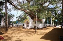 Coastal Ride to Galle from Negombo