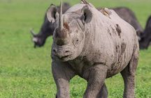 2 Days Joined Group Tarangire and Ngorongoro Crater National Park