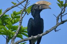 8 Days Safari to Mikumi, Ruaha & Udzungwa Mountains