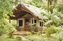 8 Days Safari to Mikumi, Ruaha & Udzungwa Mountains
