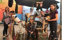 Family City Tour "Like a Local" in Buenos Aires 