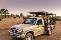 Chobe Overnight Camping safaris
