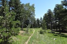 Hike the Rockies Half Day Tour