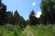 Hike the Rockies Half Day Tour