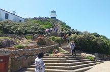 Private Cape Point Penguins Tour-Exploring the Cape Peninsula F/D