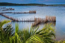 Kosi Bay Mouth Experience - Kayaking, Snorkeling, Fish Trap Tour and Fish braai