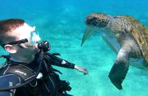 Discover Scuba Diving Experience in Turtle Habitat