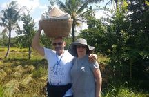 Lombok Private Sasak Tour (Culture & Beaches)