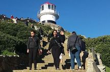 Private Cape Point Penguins Tour-Exploring the Cape Peninsula F/D