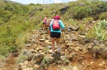 Santa Ana Volcano Hike with a Sulphur Lake and Coatepeque Lake