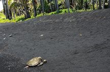 Hawaii Volcanoes National Park Experience from Oahu