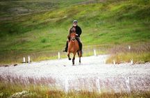 Exclusive Riding Program for Advanced Horse Riders - Give Me 5! - 2 to 3 hours
