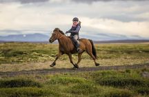 Exclusive Riding Program for Advanced Horse Riders - Give Me 5! - 2 to 3 hours