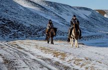 The Viking Horse Riding Experience in North Iceland
