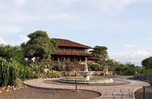 Palo Verde Jungle Tour