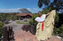 Palo Verde Jungle Tour
