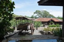 Palo Verde Jungle Tour