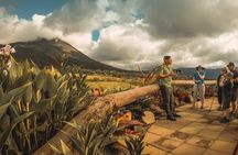Private Arenal Volcano Lava Trails Experience