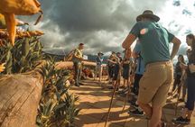 Private Hanging Bridges / Waterfall / Typical Lunch / Volcano-Lava Fields Combo