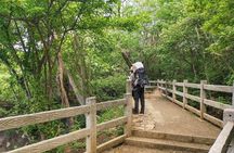 Hiking to the Rincon de la Vieja Volcano National Park Private Tour