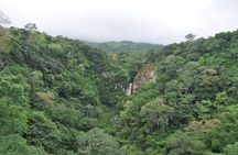 Extreme All Day Canopy Tour