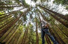 Big Bus San Francisco: Guided Muir Woods Tour