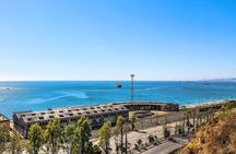 Valparaiso Like a Local: Customized Private Tour