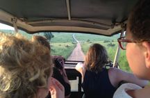 3-Day Murchison Falls Safari and Ziwa Rhino Tracking