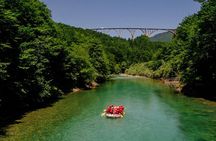 Tara rafting - half day