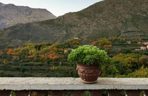 Atlas Mountains Day trips & 3 valleys with Camel ride
