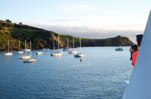 Waiheke Wine and Dine - Batch Winery