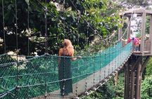 Kuala Lumpur InfoFun Walking Tour Experience