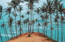 Srilanka 7 Days Classical Tour- Private Car (Can Customized)