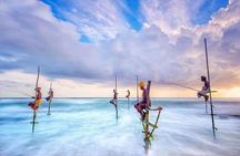 Srilanka 7 Days Classical Tour- Private Car (Can Customized)
