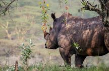 7 Days Kenya Tour Budget Safari