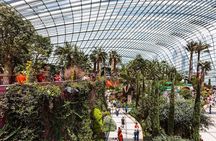 Garden by the Bay with two domes (Shared transfer)