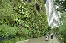 Garden by the Bay with two domes (Shared transfer)